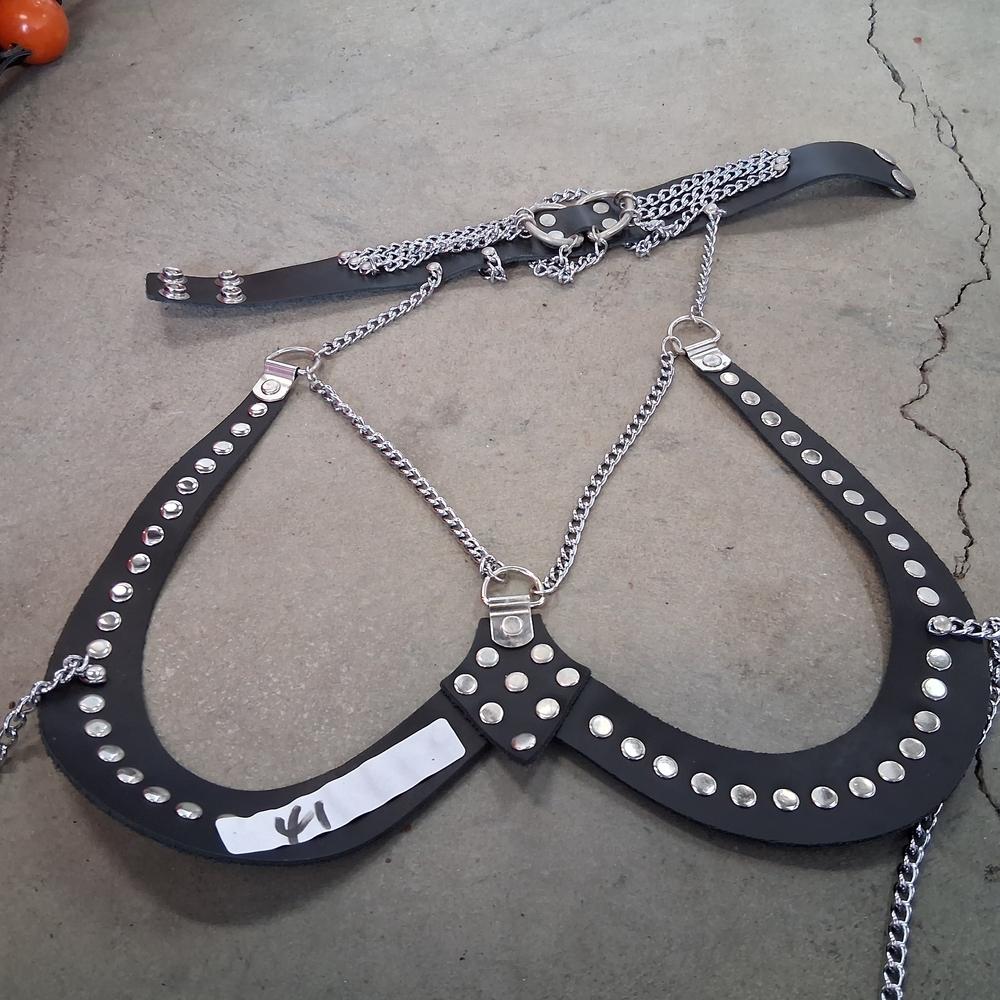 Studded Black Harness Belt